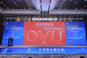 中电光谷总裁黄立平受邀在2025全球孵化器大会作第四代孵化器演讲