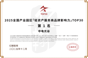 中电光谷荣获“2025全国产业园区轻资产服务商品牌影响力TOP30”第一名