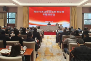 中电光谷黄立平受邀在武汉市国资国企转型发展报告会讲授《重构存量时代的国企价值》