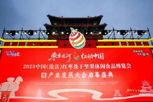枣香运河，红动中国！2025中国（沧县）红枣及干坚果休闲食品博览会暨产业发展大会成功举办！