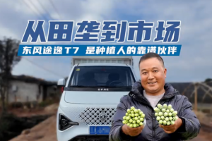 稳稳的幸福，东风途逸T7成为“最踏实”伙伴