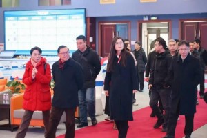 中国农业国际合作促进会一行到访国联股份肥多多