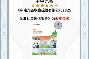 中电光谷《企业社会价值报告》连续三年荣获“五星佳” 