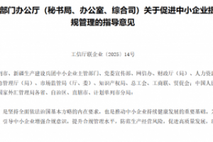 企业合规新时代：2030年中小企业竞争焦点转向十大领域，企业财税合规师成关键人才 