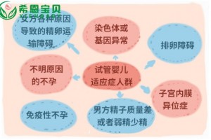 哈萨克斯坦试管婴儿：制定治疗方案的秘诀