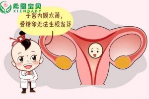 希恩宝贝：子宫内膜不达标，试管婴儿调理揭秘