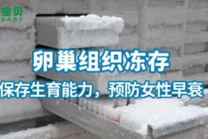 希恩宝贝：哈萨克斯坦辅助生殖专家为您揭晓女性生育力保存的最佳技术