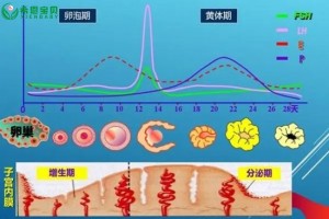 希恩宝贝：试管婴儿备孕前检查激素六项的重要性及注意事项