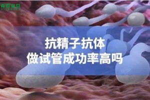 希恩宝贝：女性体内存在抗精子抗体，做试管婴儿的成功性分析