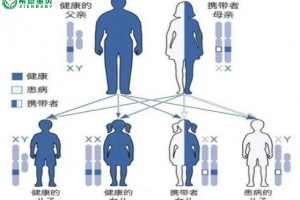 希恩宝贝-哈萨克斯坦第三代试管婴儿技术：染色体遗传病的筛查与排除