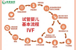 希恩宝贝-哈萨克斯坦试管婴儿流程全面解析：助你顺利迎接新生命