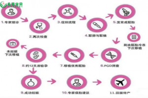 希恩宝贝-哈萨克斯坦试管婴儿全流程攻略：从咨询到成功