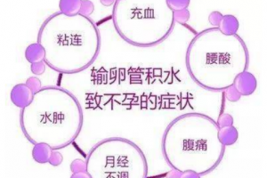 希恩宝贝：卵管不通、积水影响女性正常生育？哈萨克斯坦辅助生殖专家为您揭晓试管婴儿助孕的奥秘