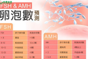 希恩宝贝-解读国内外试管婴儿成功率：差异背后的原因