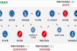 希恩宝贝-试管婴儿过程各步骤详细讲解：一文看懂试管婴儿助孕