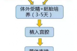 希恩宝贝-哈萨克斯坦试管婴儿步骤详解：每一步都安心