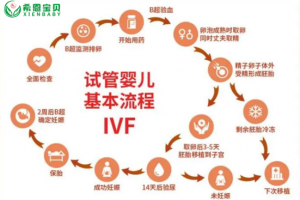 希恩宝贝：哈萨克斯坦试管婴儿全流程时间规划