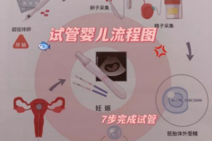 哈萨克斯坦试管婴儿流程中的关键步骤：解锁生育奇迹的“通关密码”