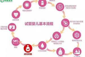 高龄女性试管婴儿流程：从检查到移植的注意事项