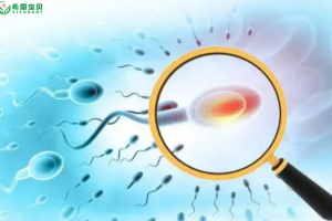 希恩宝贝-精子质量差怎么办？第三代试管婴儿的解决方案：科技赋能，重启生育希望