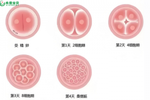 希恩宝贝哈萨克斯坦第三代试管婴儿技术：如何筛选健康胚胎提升成功率？