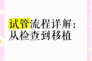 希恩宝贝哈萨克斯坦试管婴儿全流程解析：从检查到移植的21个关键步骤，解锁生命新希望
