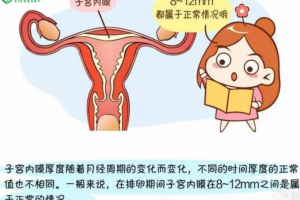 希恩宝贝哈萨克斯坦辅助生殖专家说：试管婴儿内膜厚度管理，这些误区你中招了吗？
