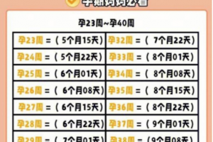 希恩宝贝-试管婴儿全周期时间表：从检查到分娩的40周关键节点提醒