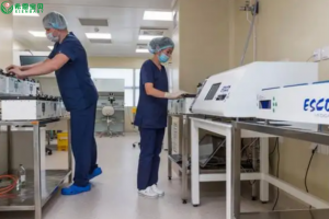 希恩宝贝辅助生殖新选择：哈萨克斯坦试管婴儿