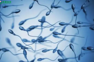 希恩宝贝哈萨克斯坦试管婴儿：男女不孕不育的救星