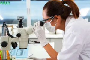 希恩宝贝-试管婴儿过程揭秘：哈萨克斯坦的专业流程