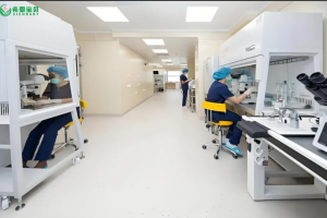 希恩宝贝-哈萨克斯坦第三代试管婴儿技术：突破高龄夫妻生育瓶颈