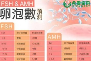希恩宝贝：试管婴儿前孕力评估：AMH和FSH哪个更重要？