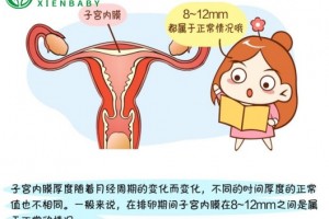 希恩宝贝：试管婴儿成功率与子宫内膜厚度？哈萨克斯坦辅助生殖专家解答