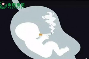 希恩宝贝：二手烟对试管婴儿有危害吗？如何预防？哈萨克斯坦辅助生殖专家解答！