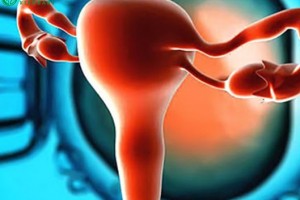 希恩宝贝：做试管促排取卵会导致卵巢早衰吗？哈萨克斯坦辅助生殖专家解答
