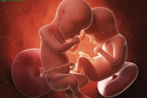 希恩宝贝-哈萨克斯坦试管婴儿提供卵子双胞胎：优势、风险与费用